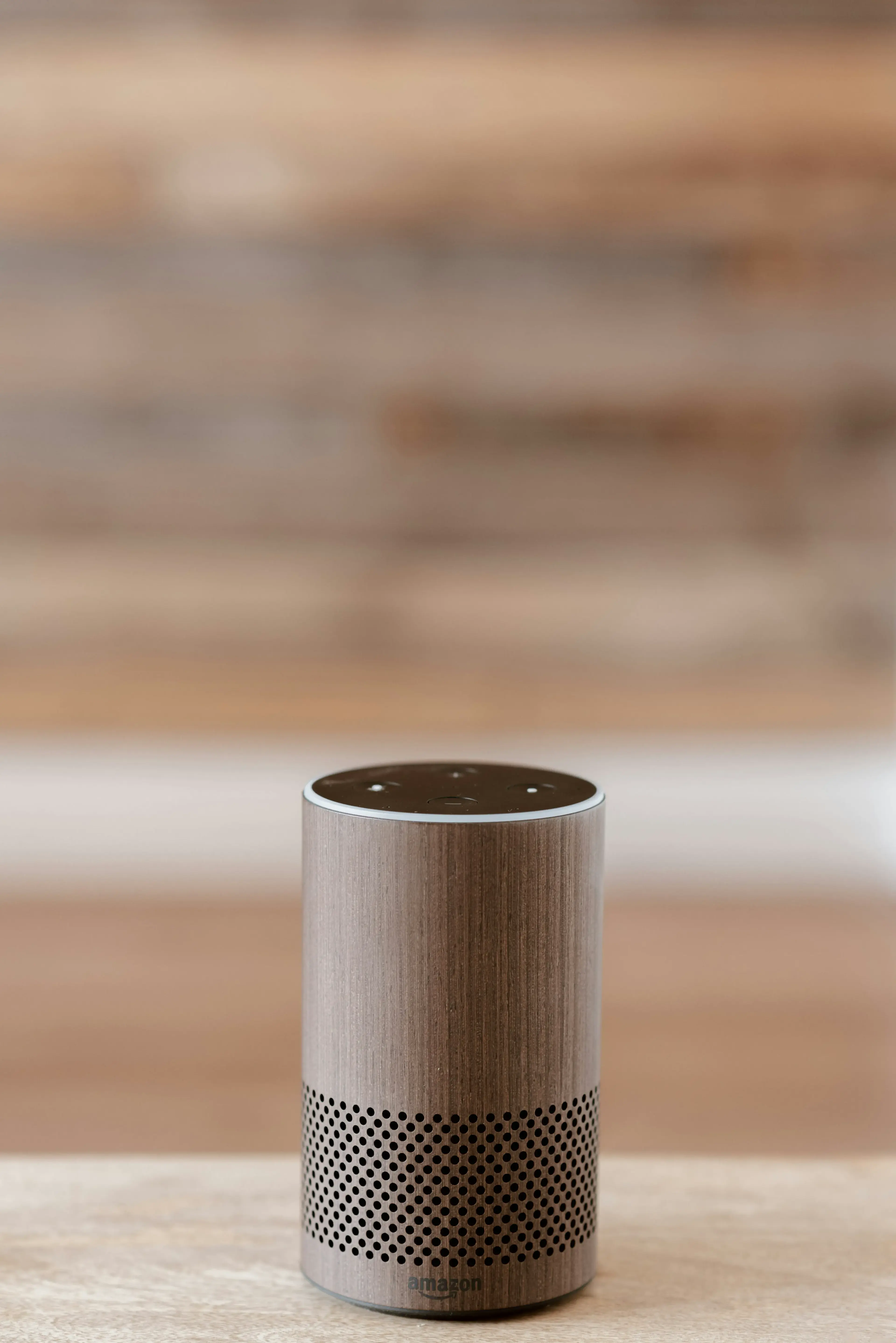 Smart home voice assistant